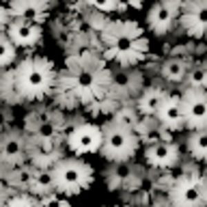 Meet your Posher, Mamoona